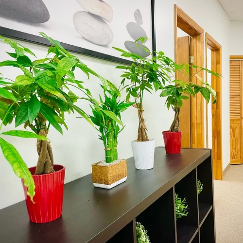 Seva-Orthopedic-Physical-Therapy-Princeton-NJ