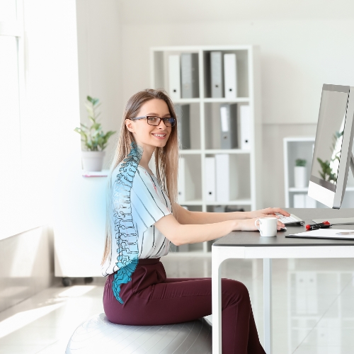 Seva-Orthopedic-Physical-Therapy-Princeton-NJ-ergonomic